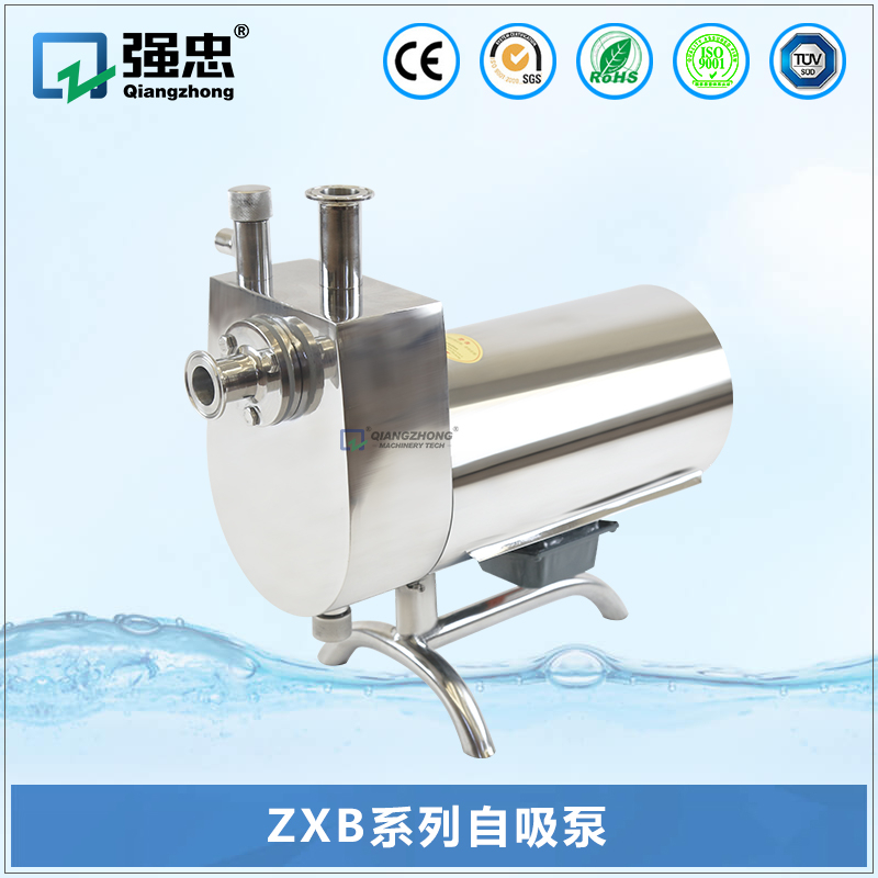 ZXB乐玩web版登录入口自吸泵