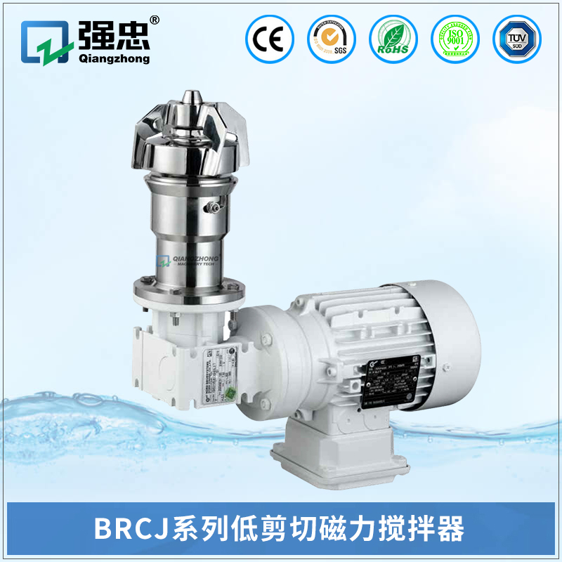 BRCJ乐玩web版登录入口低剪切磁力搅拌器