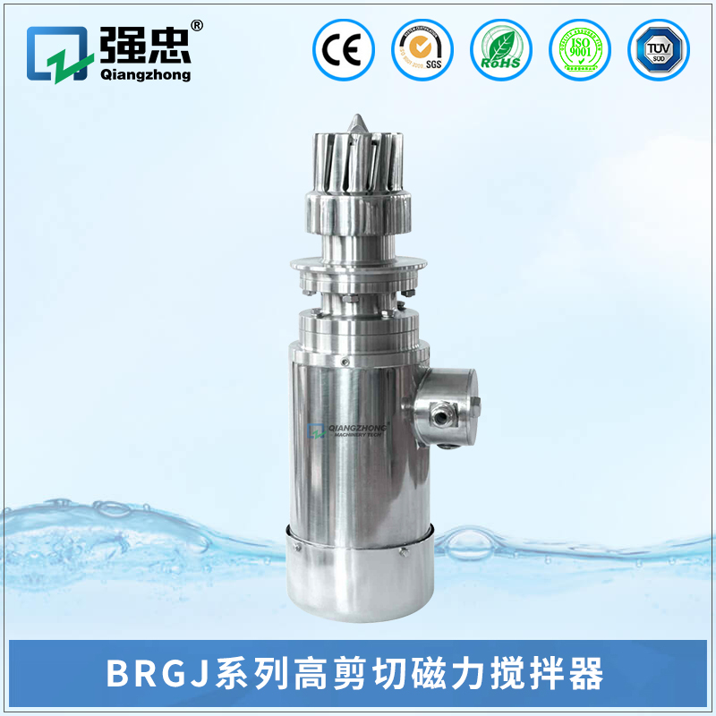 BRGJ乐玩web版登录入口高剪切磁力搅拌器